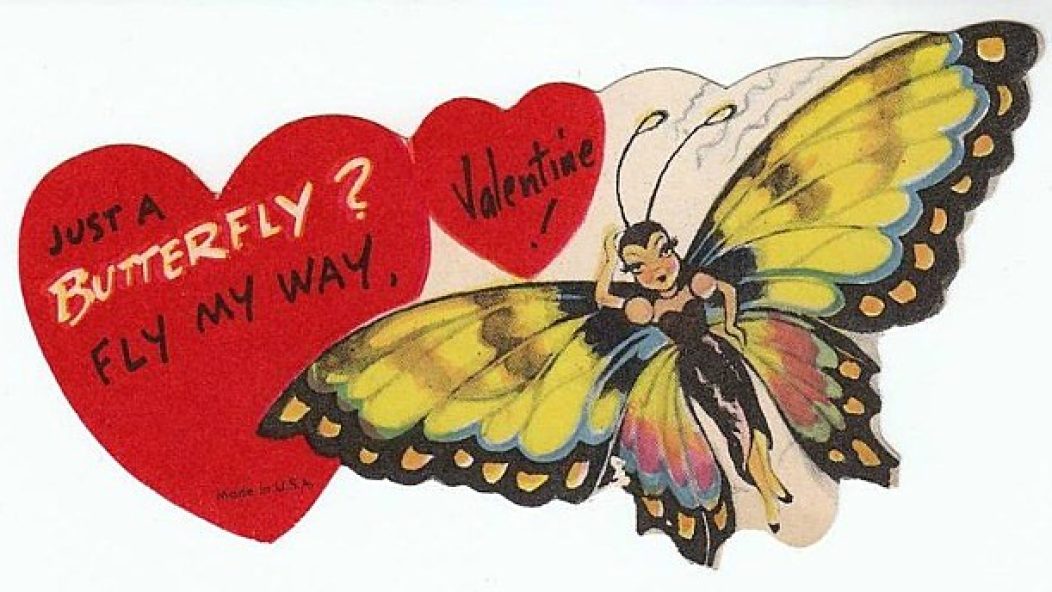 800px-Butterfly_Valentine