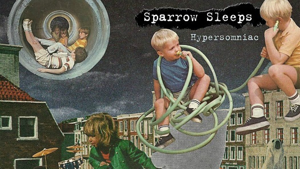 sparrow_sleeps-web