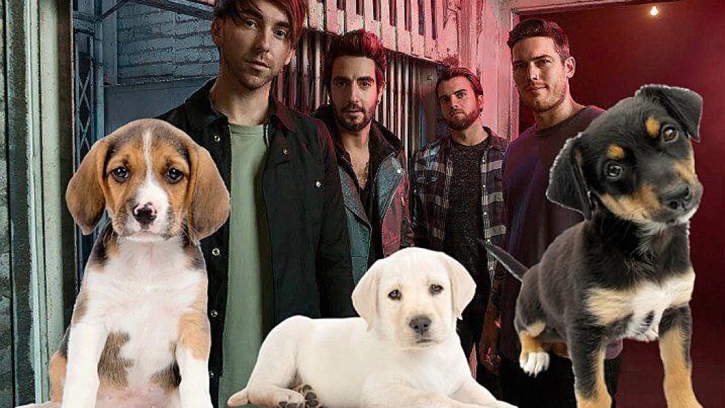 all_time_low_puppies_interview