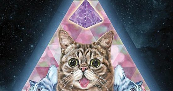 Science_and_Magic_lil_bub