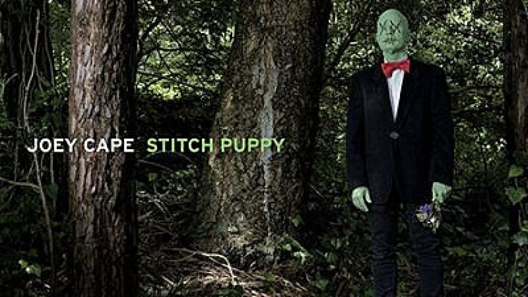 Stitch_Puppy