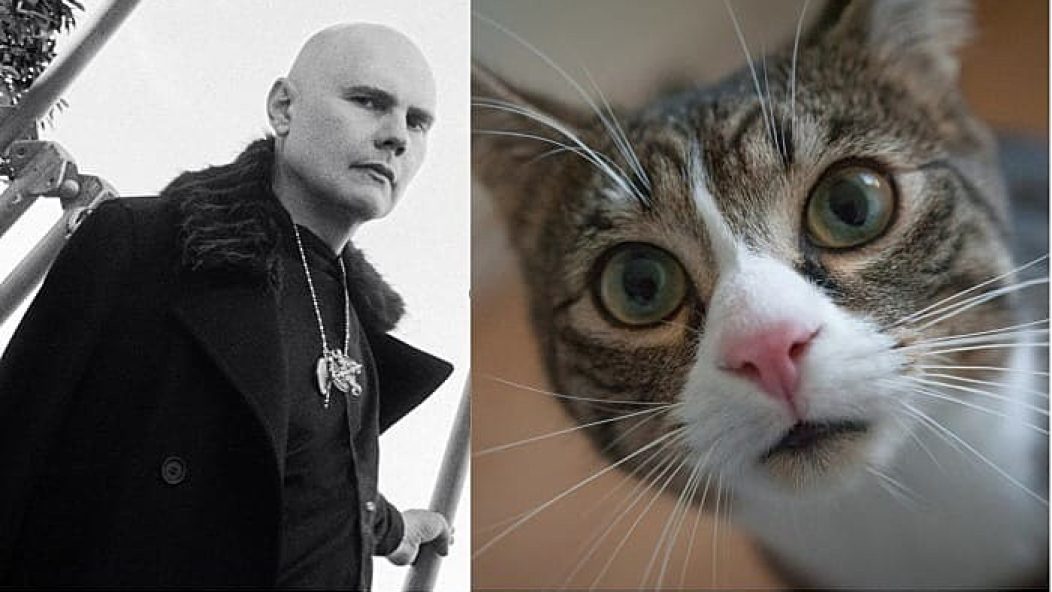 Billy Corgan returns to PAWS Chicago cover