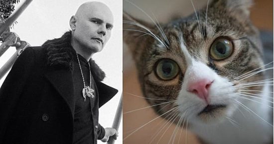 Billy Corgan returns to PAWS Chicago cover