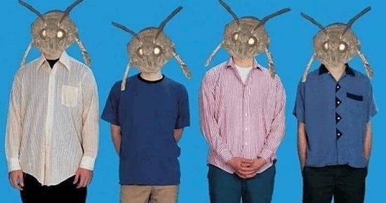 weezer moth memes