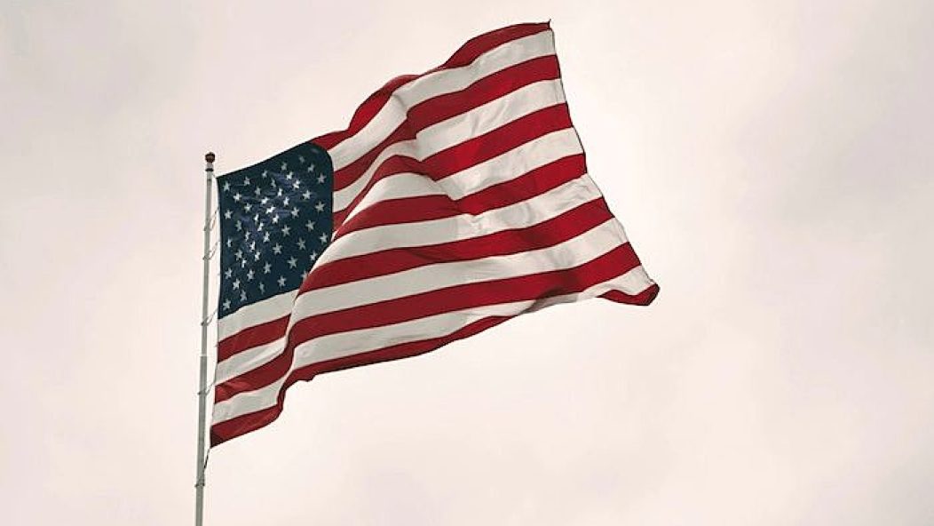 american flag vote filter