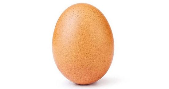 world record egg instagram