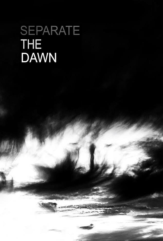 Greg Puciato Separate The Dawn book cover