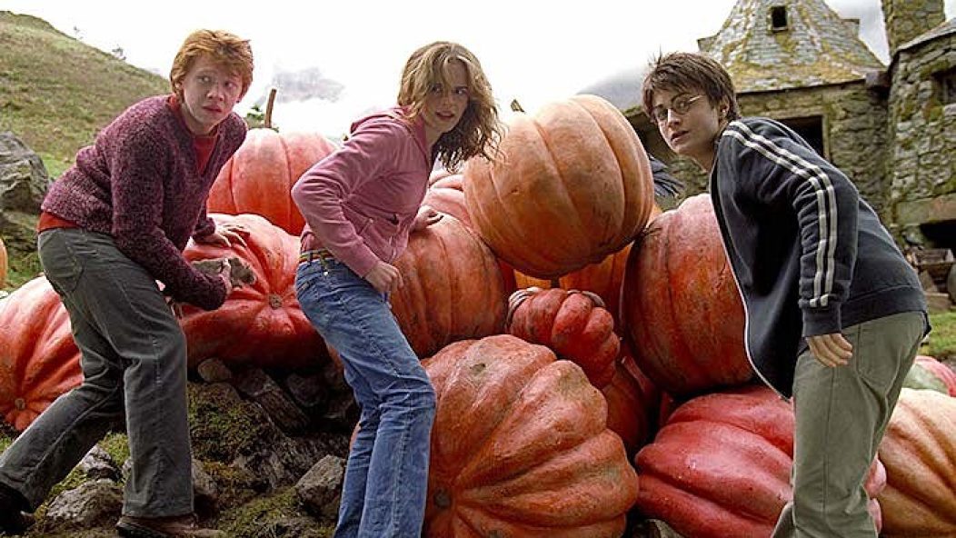 harry potter pumpkins fall