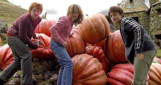 harry potter pumpkins fall
