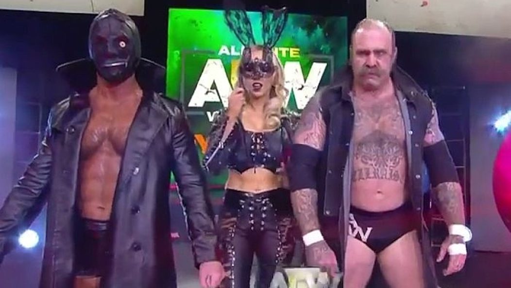 andy williams aew debut