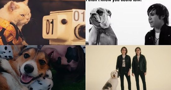 pets in music videos