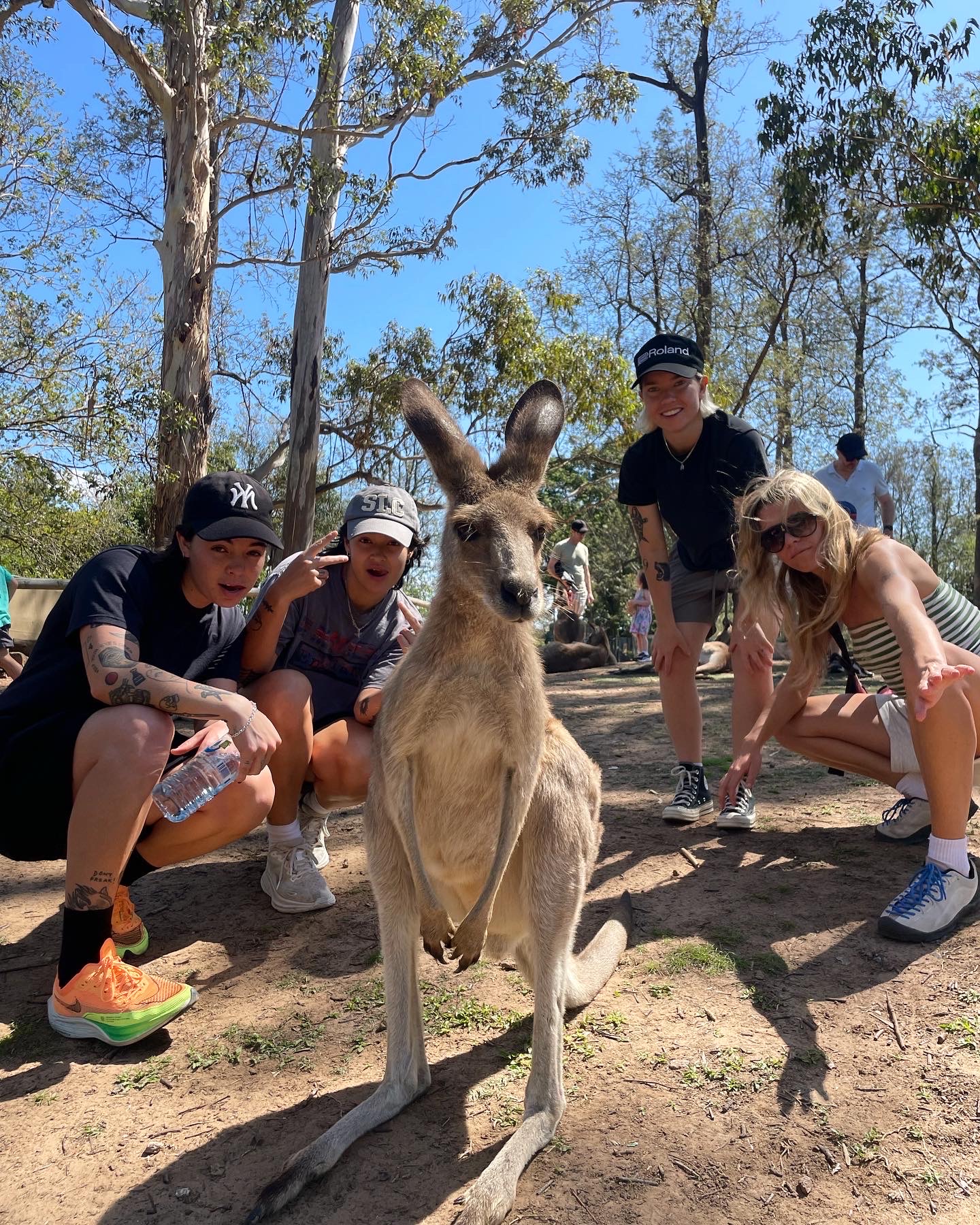 14_Australia kangaroo